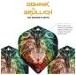 Preview: Mission - Domimik Grullich Flight Design No2