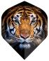 Preview: Designa Tiger Dart Flights No2