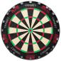 Preview: Target Tor Professional Dart Board