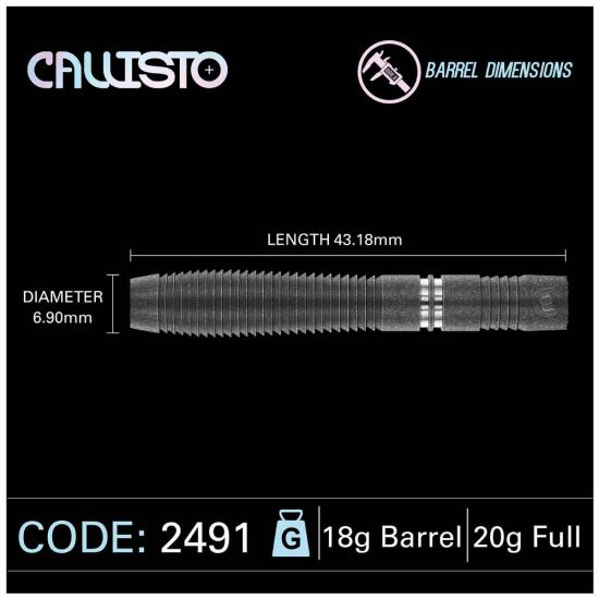 Winmau Callisto Softdart 20g