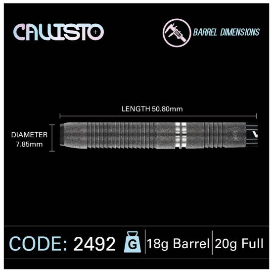 Winmau Callisto Softdart 20g