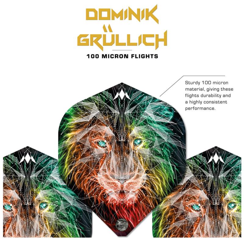 Mission - Domimik Grullich Flight Design No2